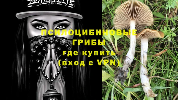 соль ск Яранск