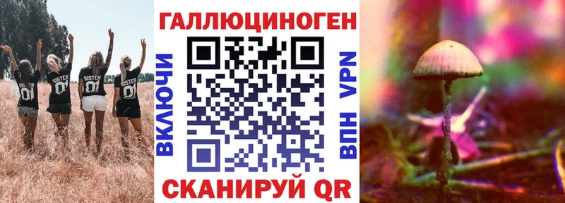 Галлюциногенные грибы Psilocybine cubensis  закладки  Белая Холуница 